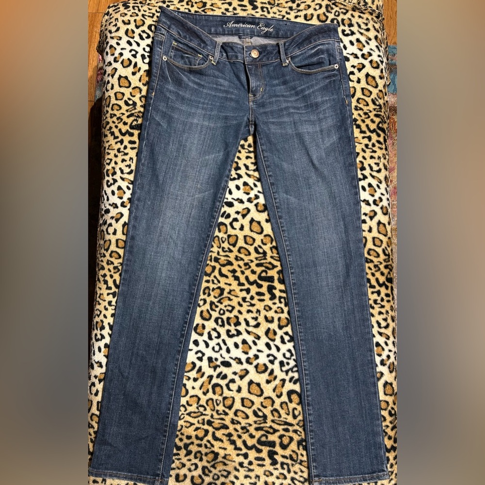 American Eagle Outfitters Dark Wash Skinny Jeans